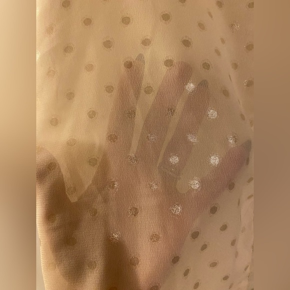 Fun & Flirt Polka Dot Sheer Top Blouse Size medium - Picture 3 of 7